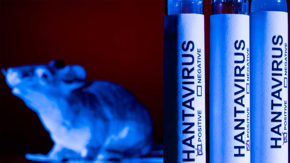 Hantavirus: no hay evidencia de que el brote se haya originado en Tierra del Fuego AIAS