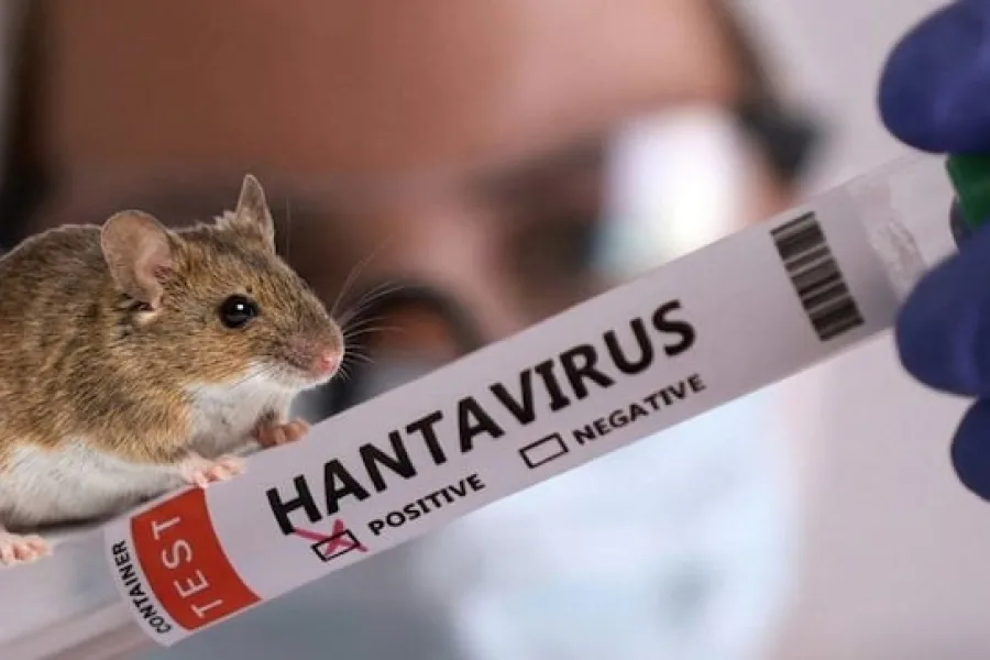 La Dra María Grieco aseguró que “no hay ninguna evidencia” de circulación de hantavirus en Tierra del Fuego