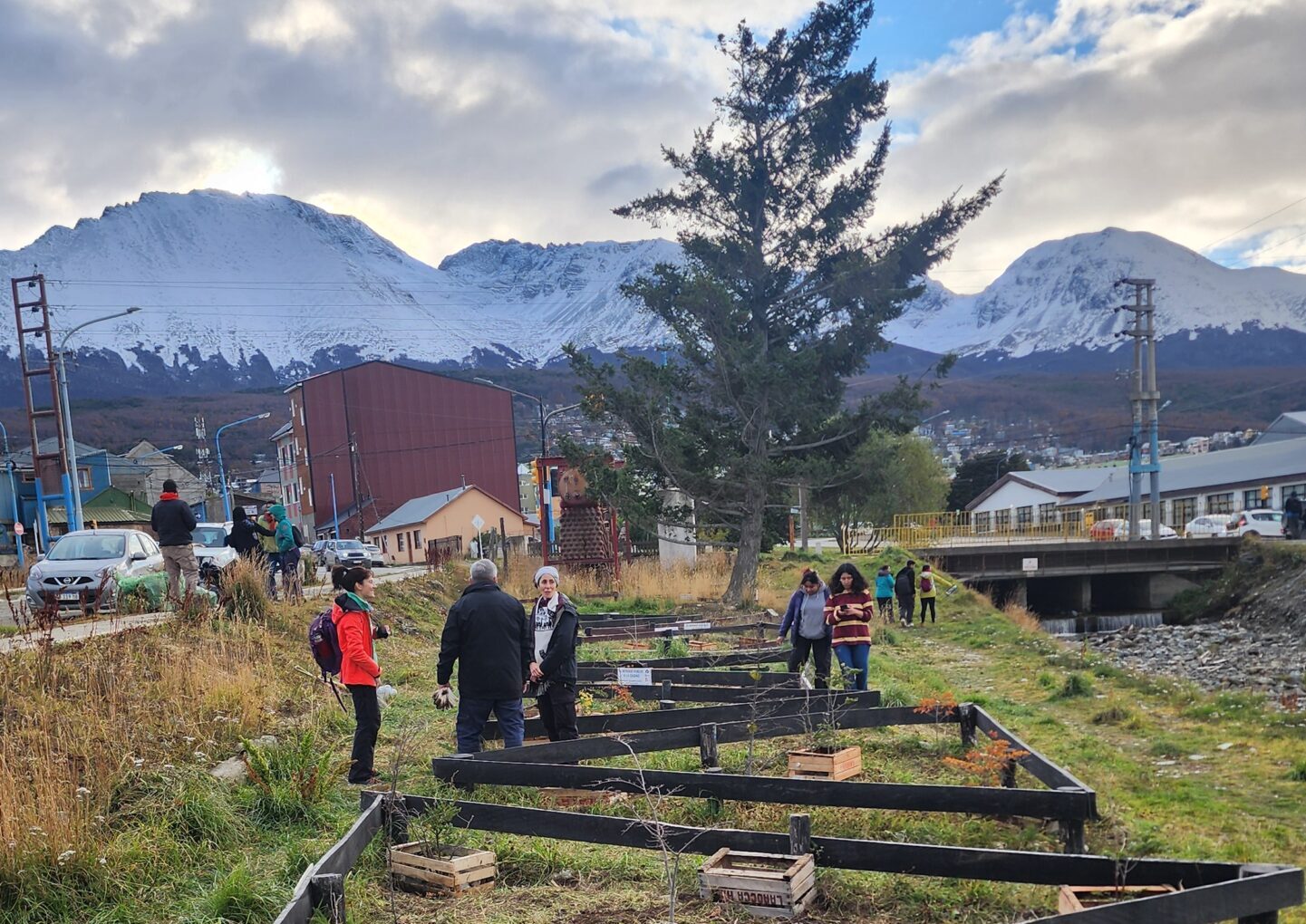 Huella austral turismo concreta primera jornada de reforestación participativa de lenga en Ushuaia