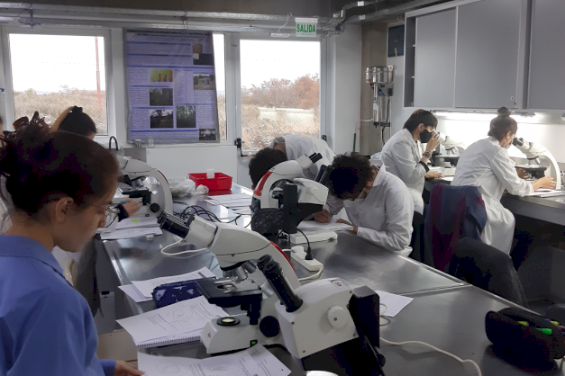 La UNTDF abre una convocatoria de becas para estudiantes de grado que se inician en investigación