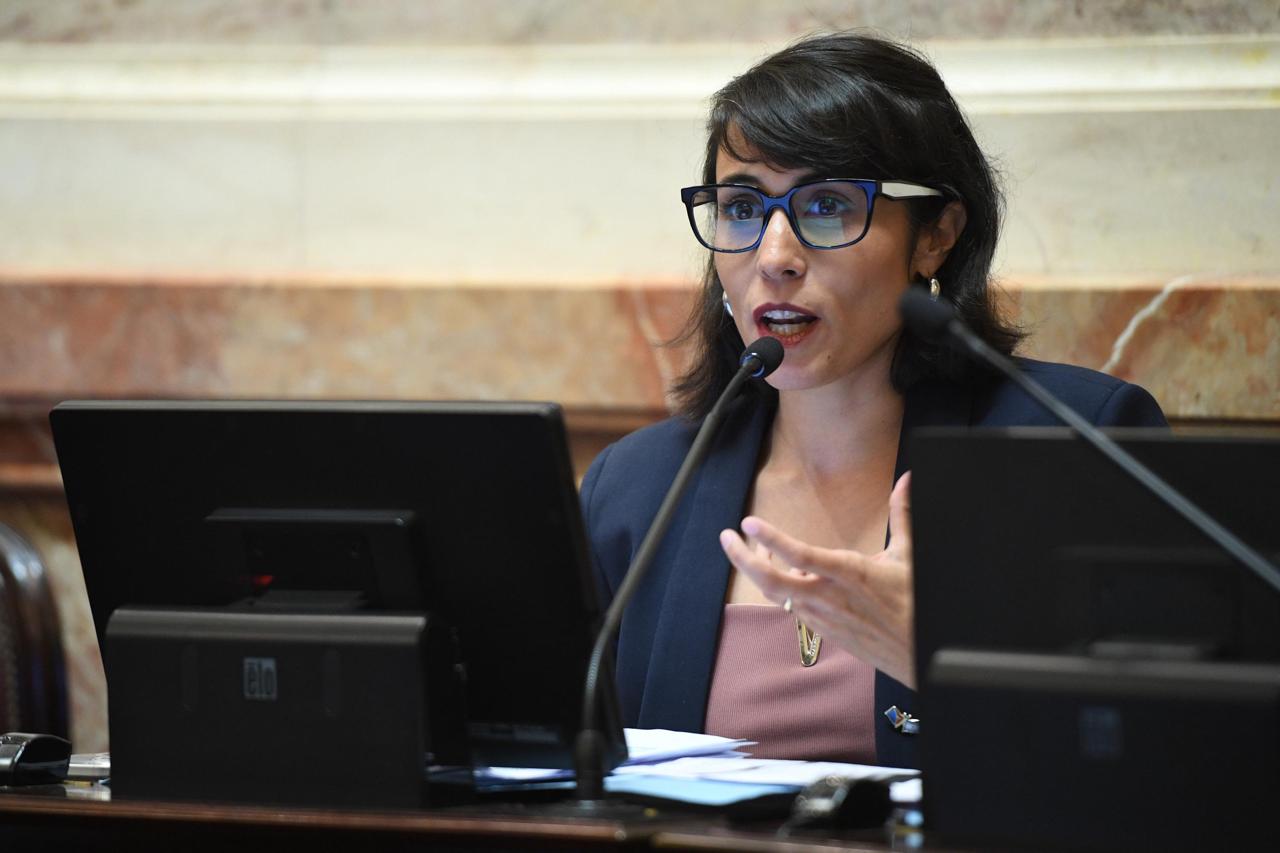 Salud Mental: “Contar con un marco normativo claro y operativo no es una opción, es una necesidad”