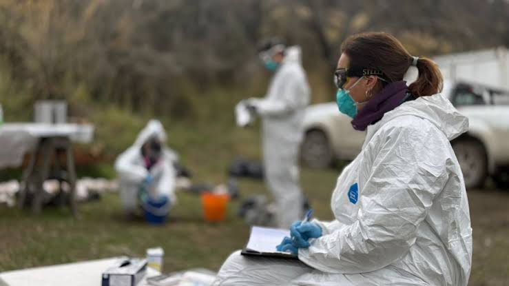 Salud confirmó que el brote de hantavirus no se originó en Tierra del Fuego