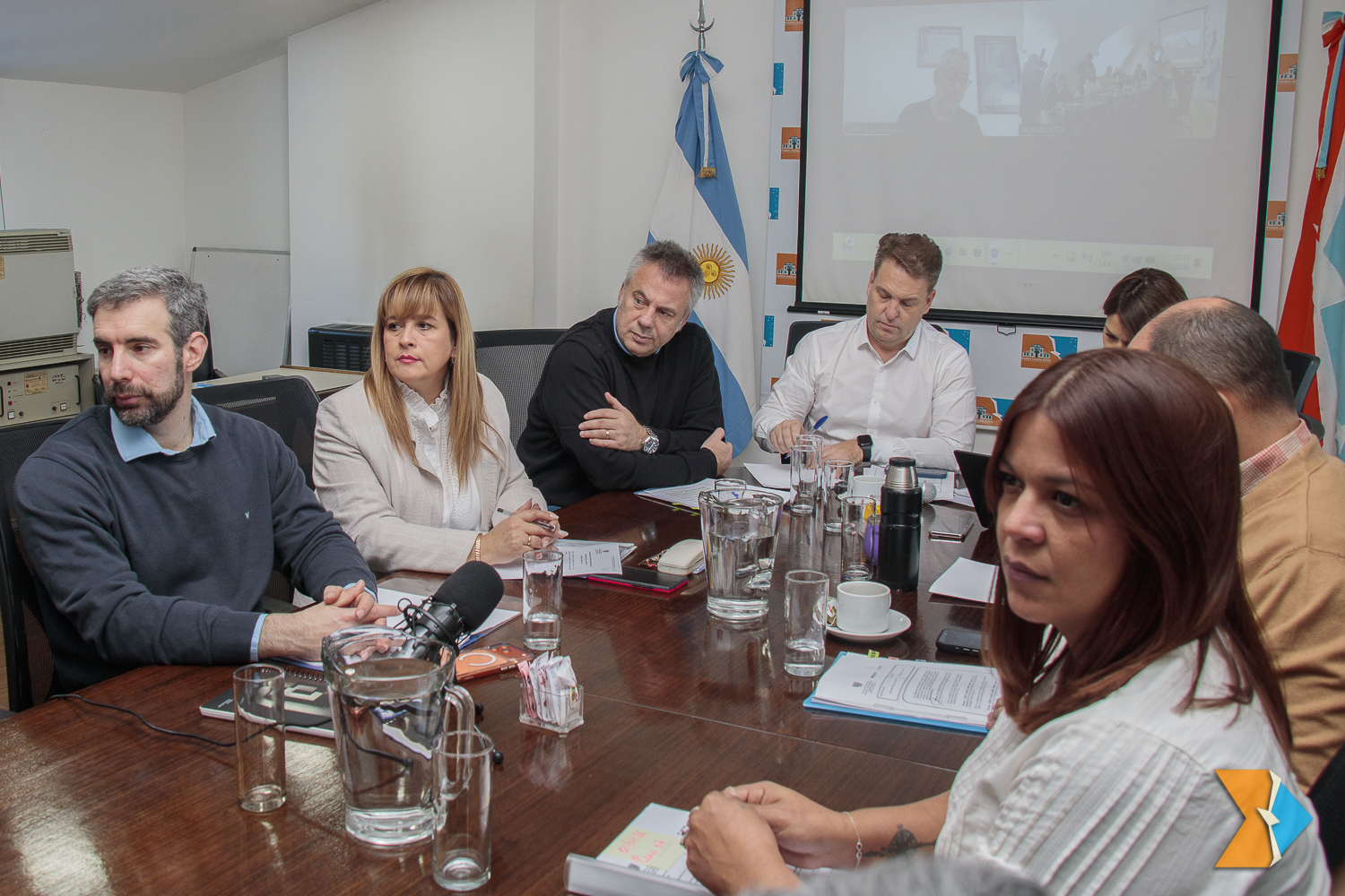 La Comisión N° 1 emitió dictamen para los proyectos de Bibliotecas Populares y Espíritu Antártico
