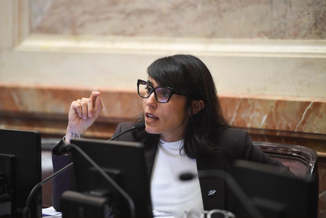 Durante la sesión en el Senado, Monte de Oca apuntó contra la gestión de Vuoto por la crisis habitacional